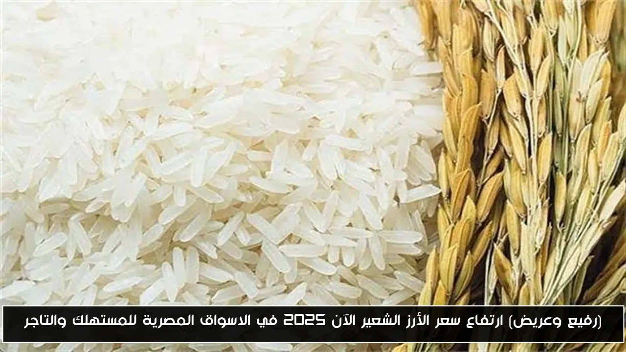 (رفيع وعريض) ارتفاع سعر الأرز الشعير الآن 2025 في الاسواق المصرية للمستهلك والتاجر