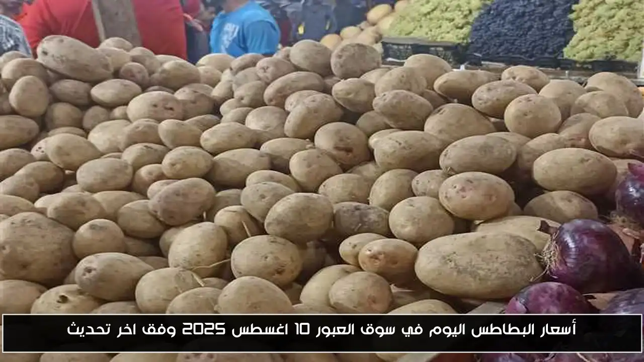 أسعار البطاطس اليوم في سوق العبور 10 اغسطس 2025 وفق اخر تحديث