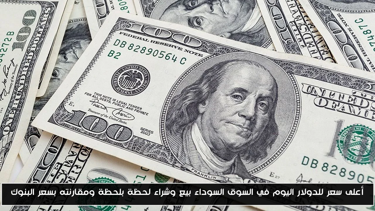 “رابط مفعل”.. استعلام بالرقم القومي تكافل وكرامة 2025 عبر moss.gov.eg واهم الشروط