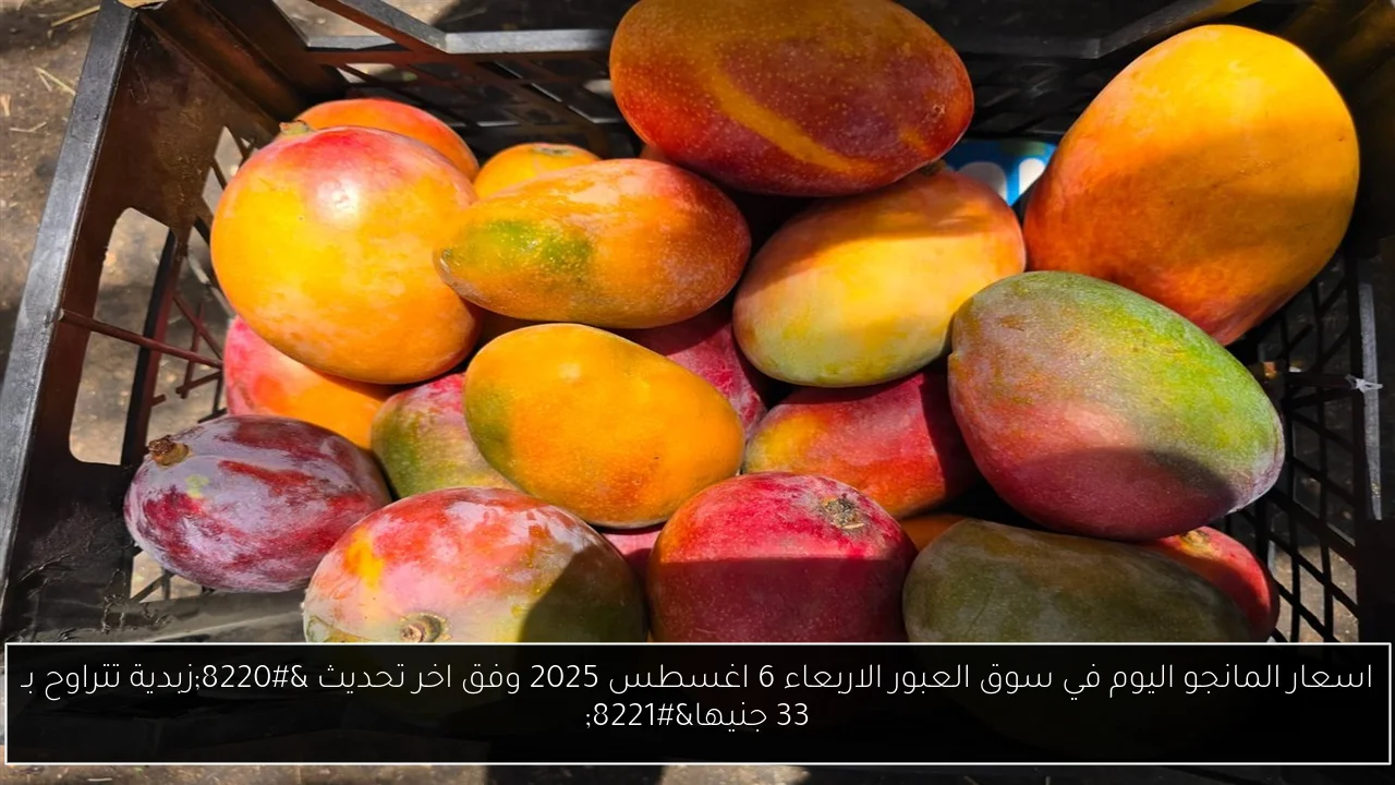 اسعار المانجو اليوم في سوق العبور الاربعاء 6 اغسطس 2025 وفق اخر تحديث “زبدية تتراوح بـ 33 جنيها”