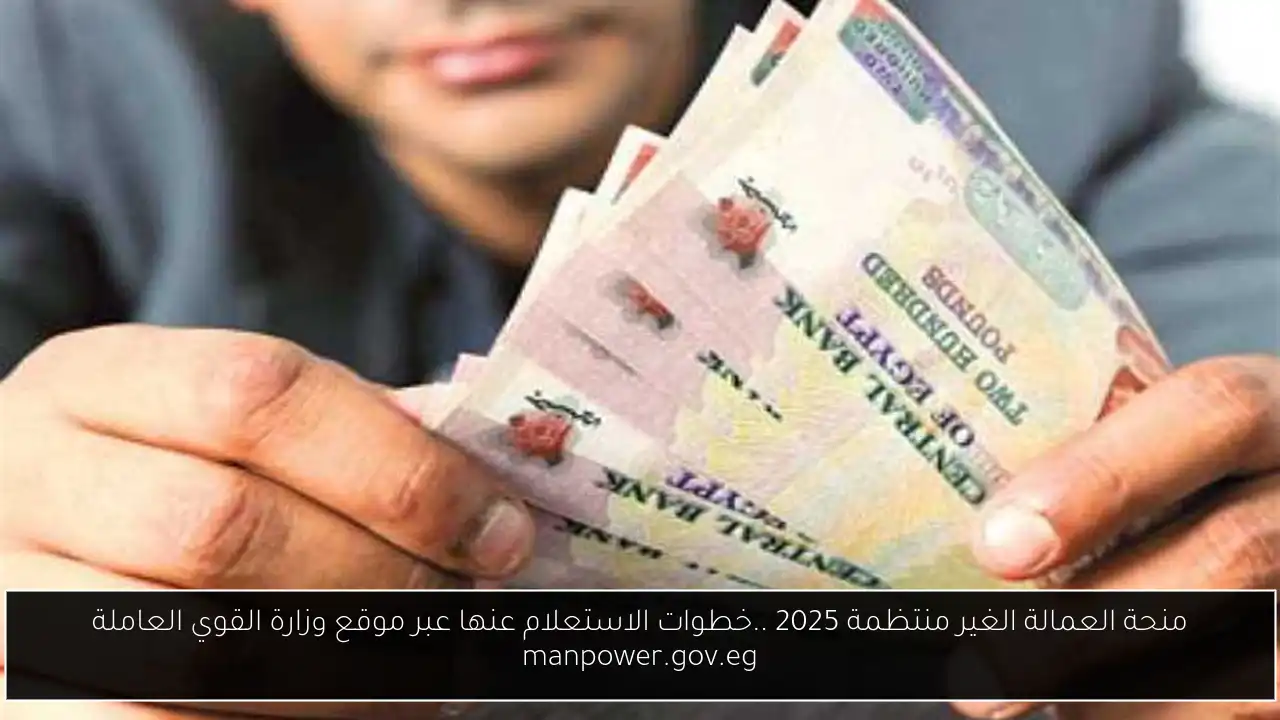 منحة العمالة الغير منتظمة 2025 ..خطوات الاستعلام عنها عبر موقع وزارة القوي العاملة manpower.gov.eg