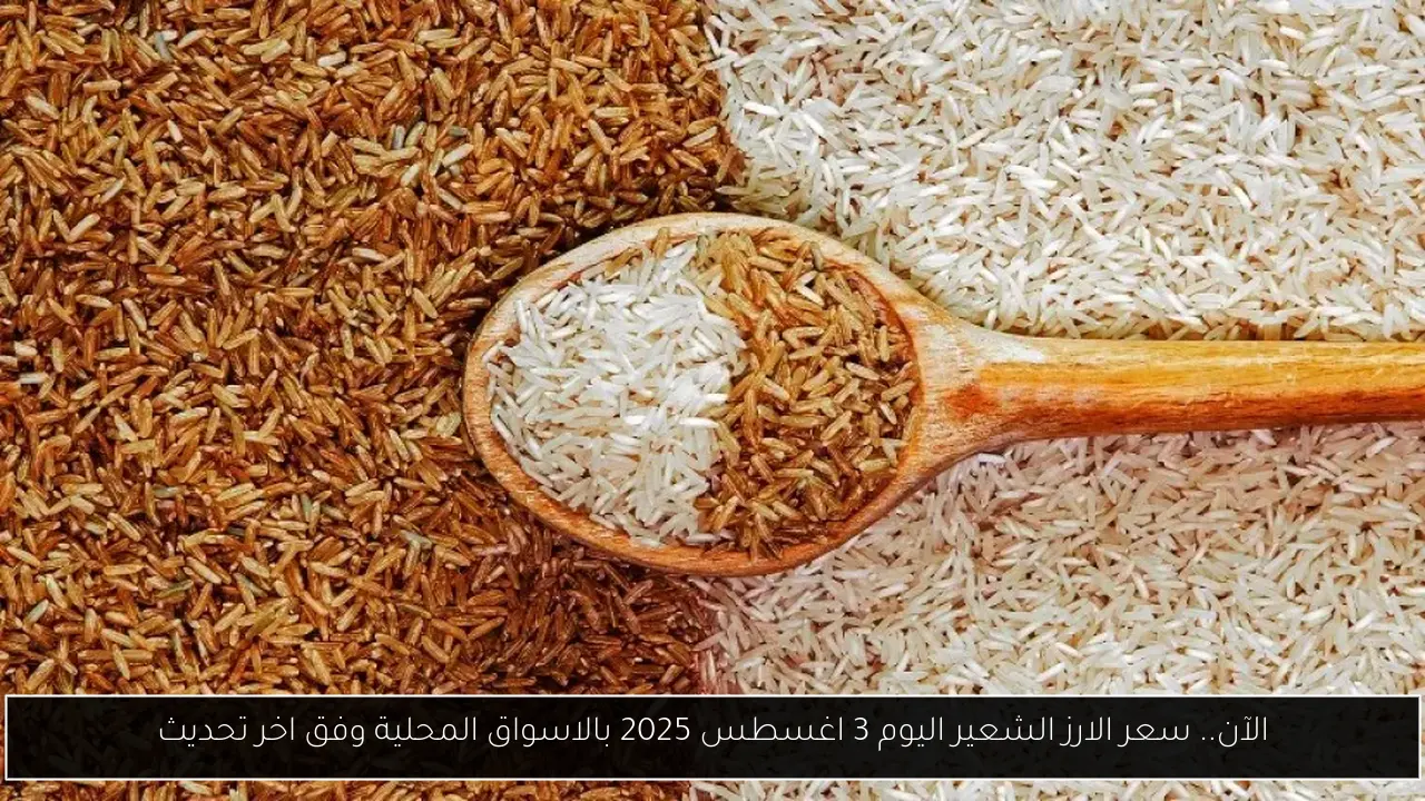الآن.. سعر الارز الشعير اليوم 3 اغسطس 2025 بالاسواق المحلية وفق اخر تحديث