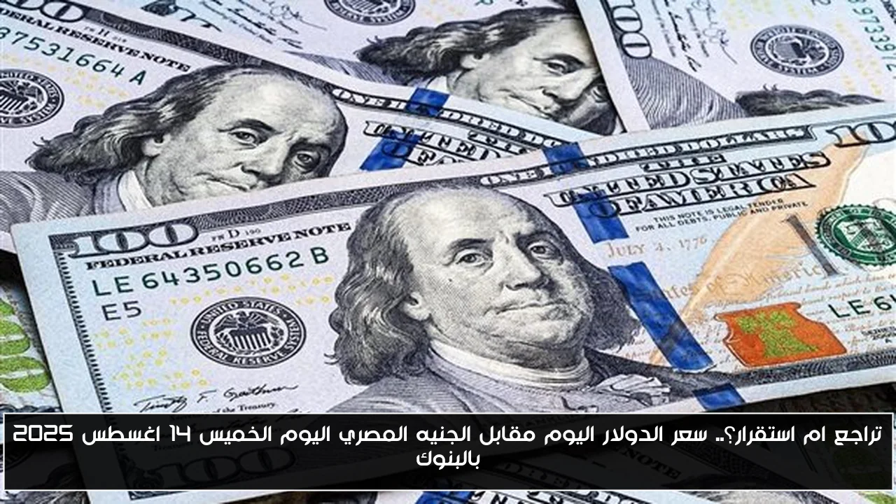 تراجع ام استقرار؟.. سعر الدولار اليوم مقابل الجنيه المصري اليوم الخميس 14 اغسطس 2025 بالبنوك