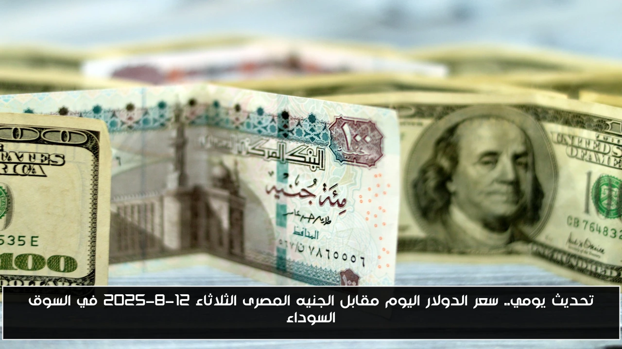 تحديث يومي.. سعر الدولار اليوم مقابل الجنيه المصرى الثلاثاء 12-8-2025 في السوق السوداء
