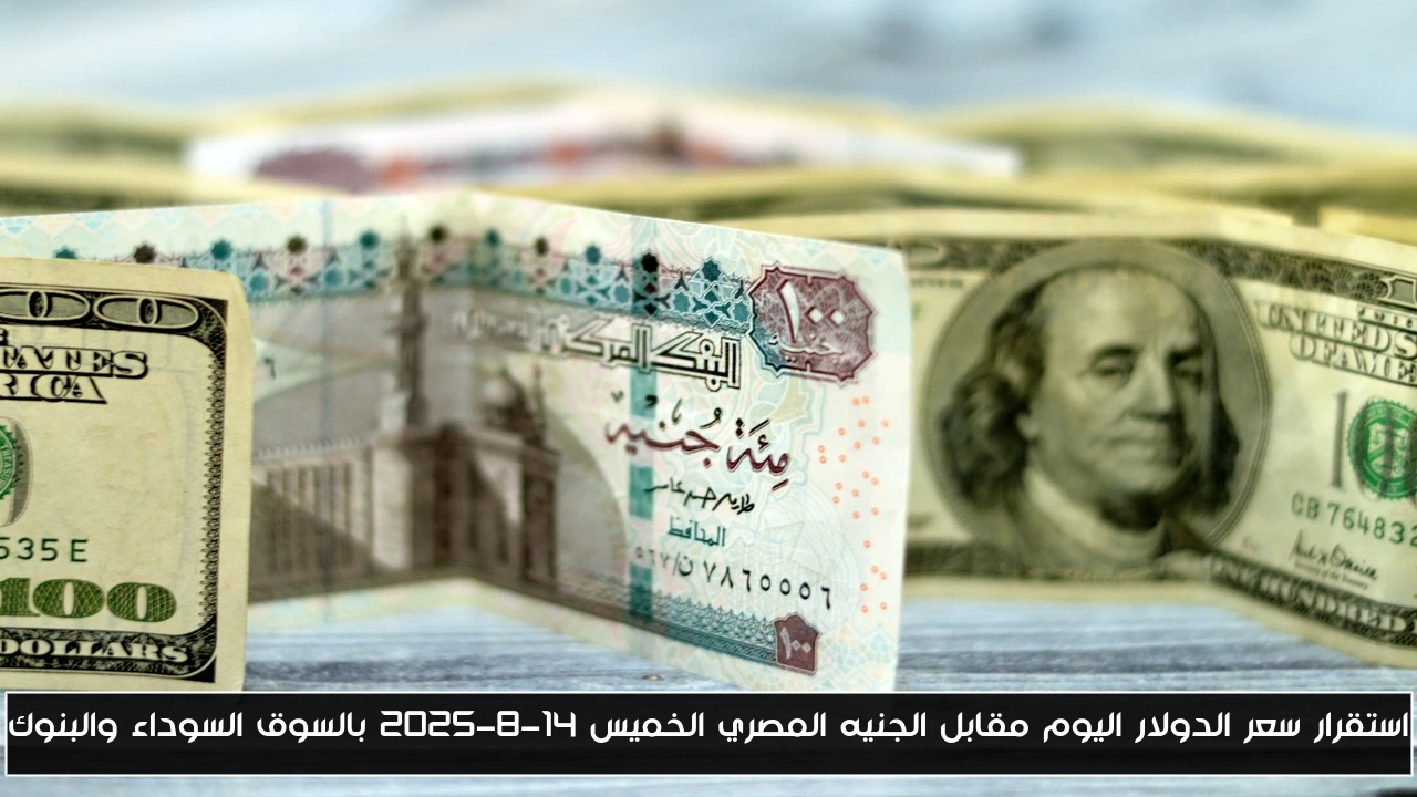 استقرار سعر الدولار اليوم مقابل الجنيه المصري الخميس 14-8-2025 بالسوق السوداء والبنوك