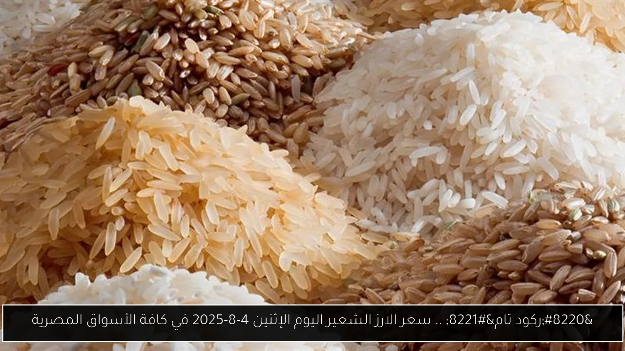 “ركود تام” .. سعر الارز الشعير اليوم الإثنين 4-8-2025 في كافة الأسواق المصرية