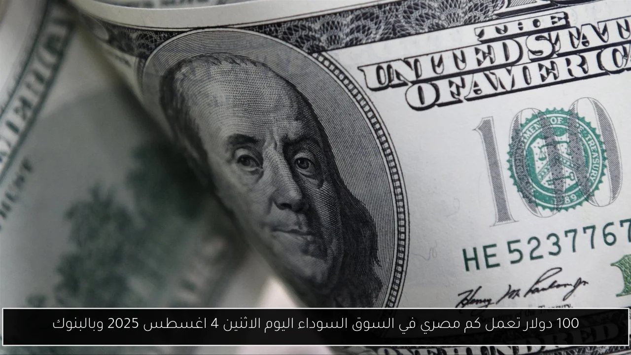 100 دولار تعمل كم مصري في السوق السوداء اليوم الاثنين 4 اغسطس 2025 وبالبنوك