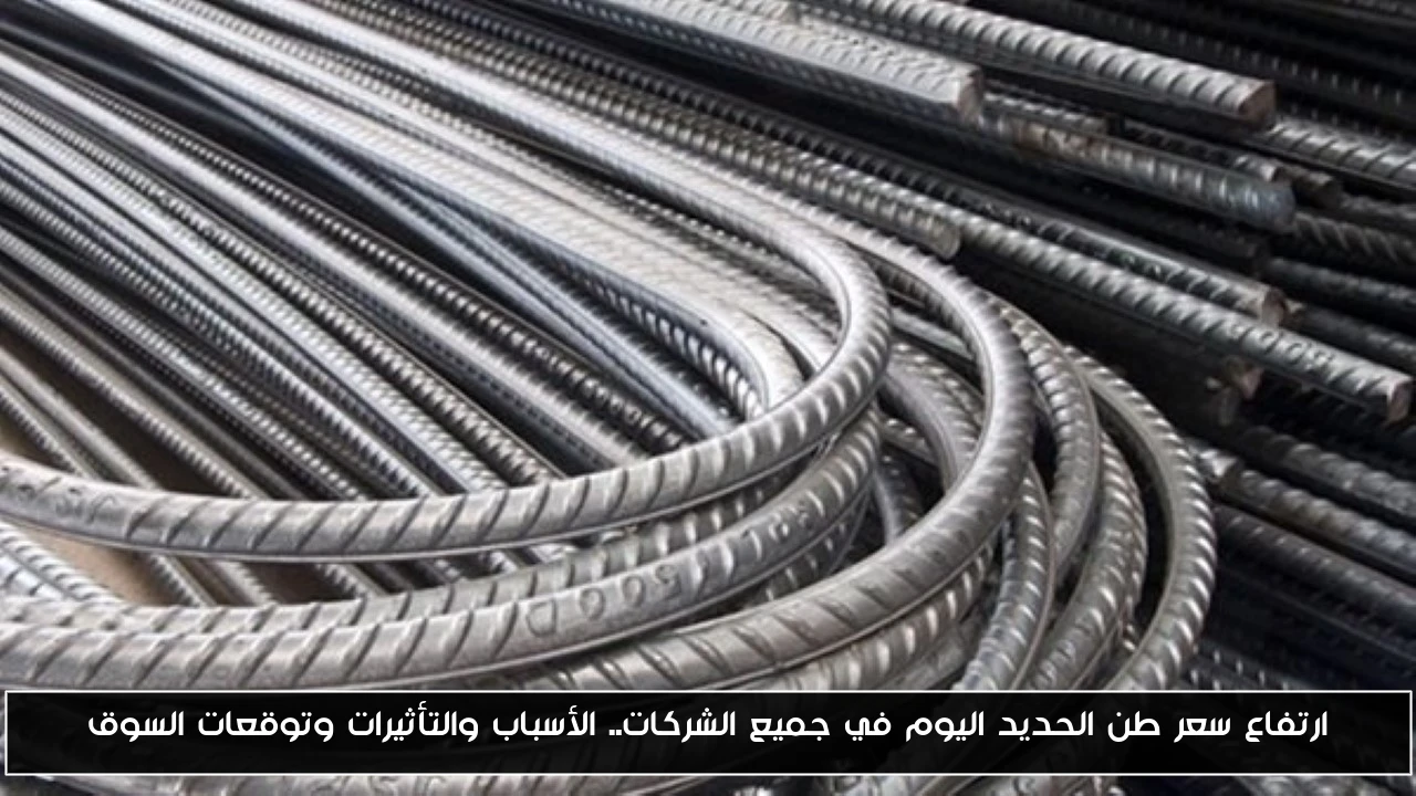 ارتفاع سعر طن الحديد اليوم في جميع الشركات.. الأسباب والتأثيرات وتوقعات السوق