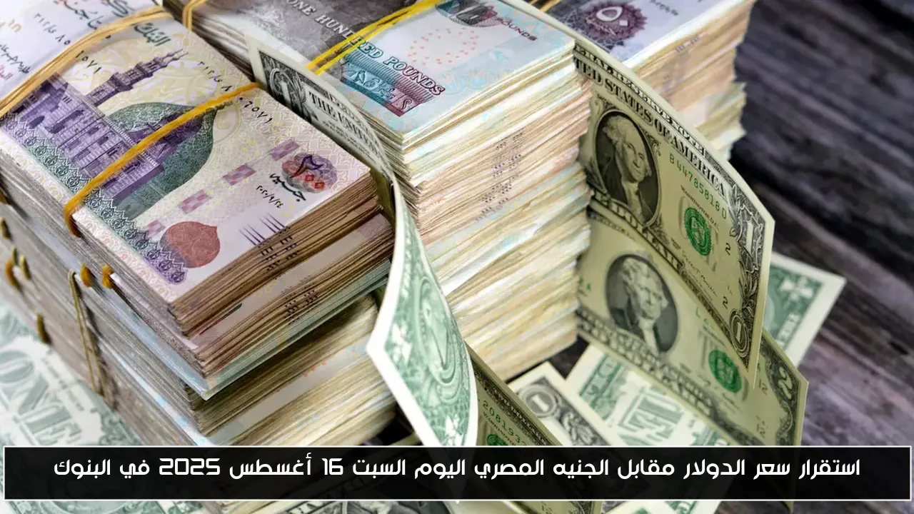 استقرار سعر الدولار مقابل الجنيه المصري اليوم السبت 16 أغسطس 2025 في البنوك