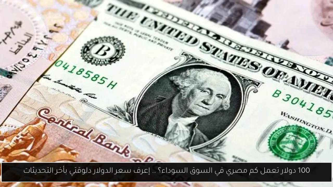 100 دولار تعمل كم مصري في السوق السوداء؟ .. إعرف سعر الدولار دلوقتي بأخر التحديثات
