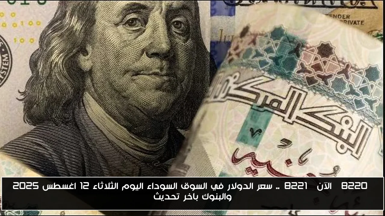 “الآن”.. سعر الدولار في السوق السوداء اليوم الثلاثاء 12 اغسطس 2025 والبنوك باخر تحديث