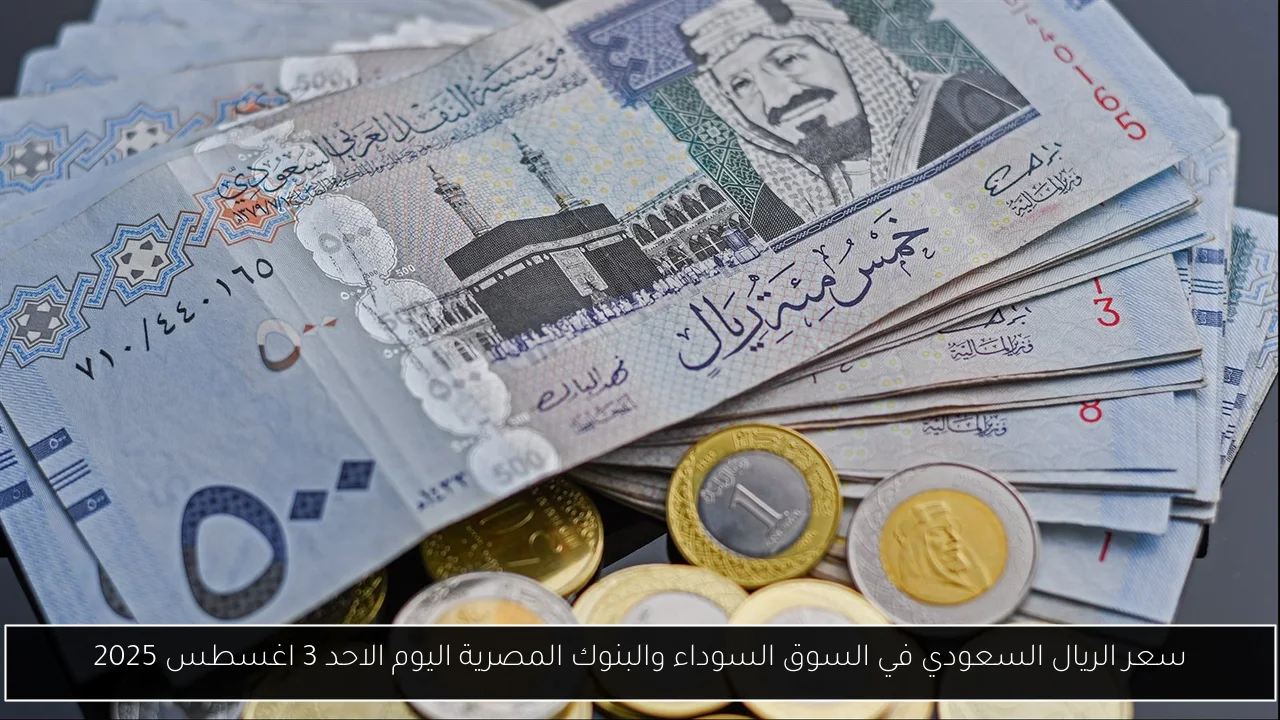 سعر الريال السعودي في السوق السوداء والبنوك المصرية اليوم الاحد 3 اغسطس 2025