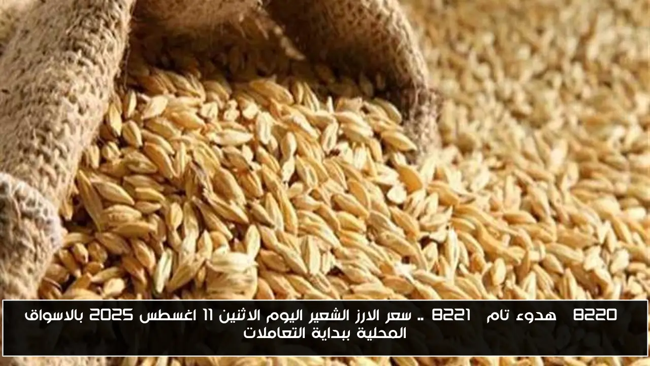 “هدوء تام”.. سعر الارز الشعير اليوم الاثنين 11 اغسطس 2025 بالاسواق المحلية ببداية التعاملات