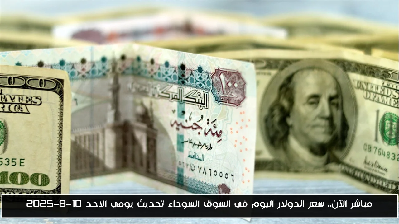 مباشر الآن.. سعر الدولار اليوم في السوق السوداء تحديث يومي الاحد 10-8-2025