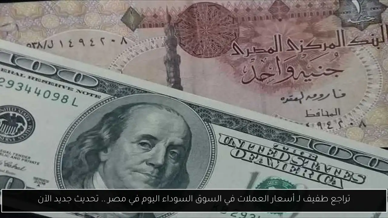 تراجع طفيف لـ أسعار العملات في السوق السوداء اليوم في مصر .. تحديث جديد الآن