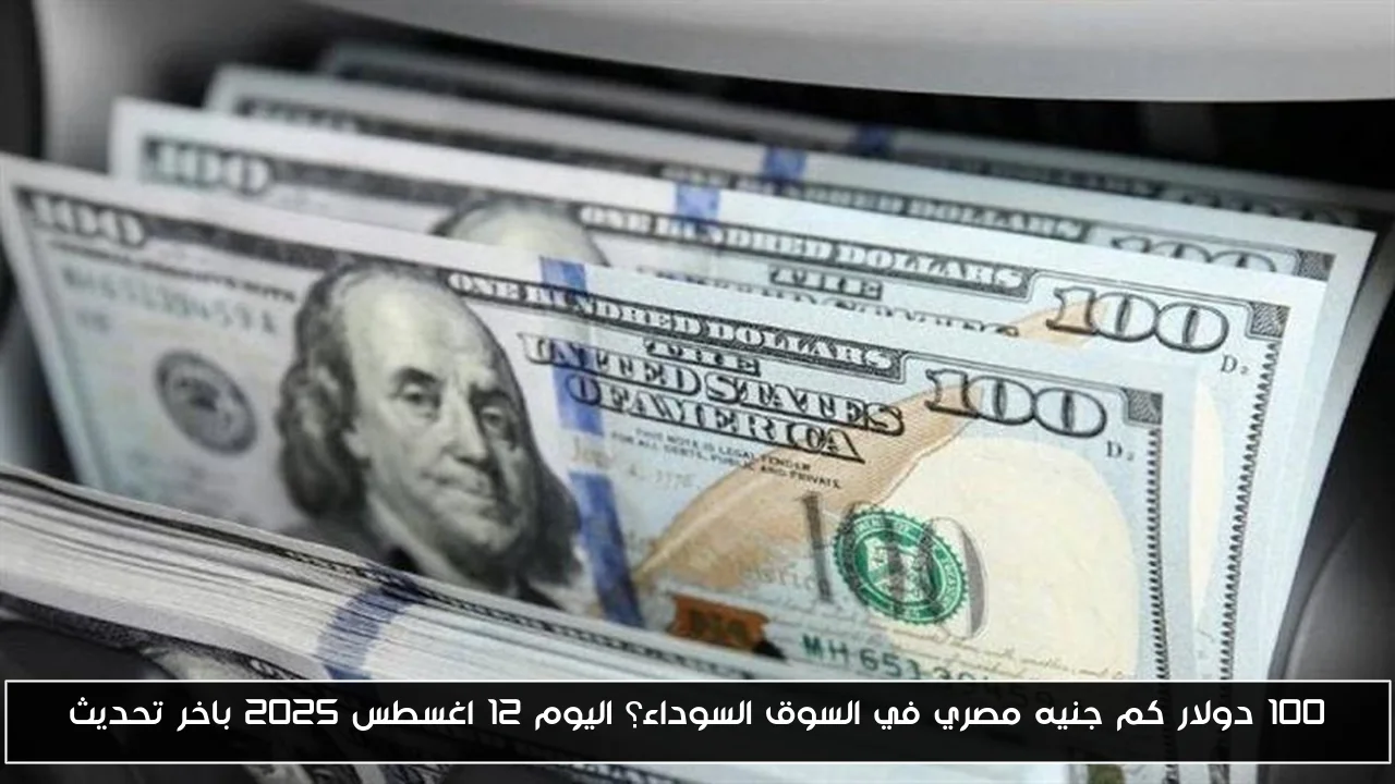 100 دولار كم جنيه مصري في السوق السوداء؟ اليوم 12 اغسطس 2025 باخر تحديث