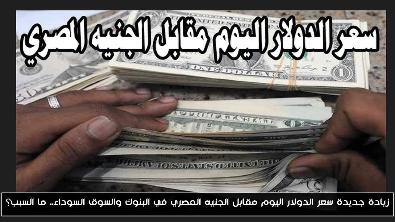 زيادة جديدة سعر الدولار اليوم مقابل الجنيه المصري في البنوك والسوق السوداء.. ما السبب؟