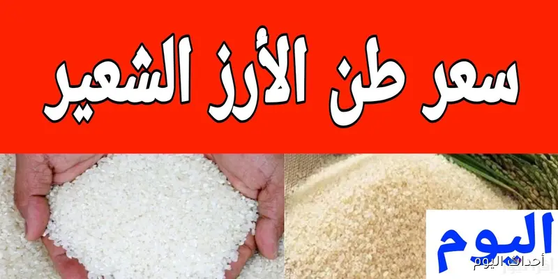سعر الأرز الشعير اليوم الأربعاء 27 أغسطس 2025 في الاسواق والمضارب للمستهلكين والتجار