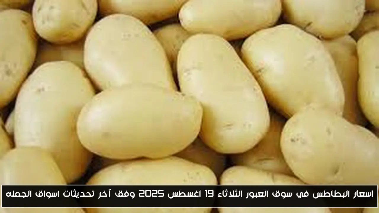 اسعار البطاطس في سوق العبور الثلاثاء 19 اغسطس 2025 وفق آخر تحديثات اسواق الجمله