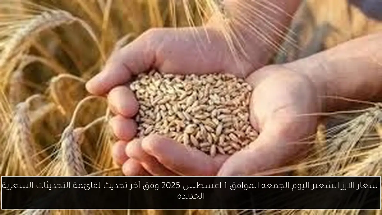 اسعار الارز الشعير اليوم الجمعه الموافق 1 اغسطس 2025 وفق آخر تحديث لقائمة التحديثات السعرية الجديده