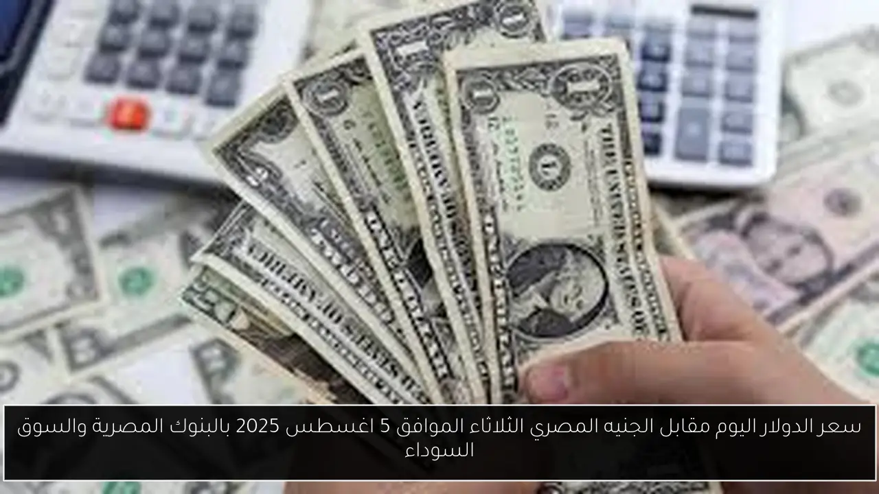 سعر الدولار اليوم مقابل الجنيه المصري الثلاثاء الموافق 5 اغسطس 2025 بالبنوك المصرية والسوق السوداء