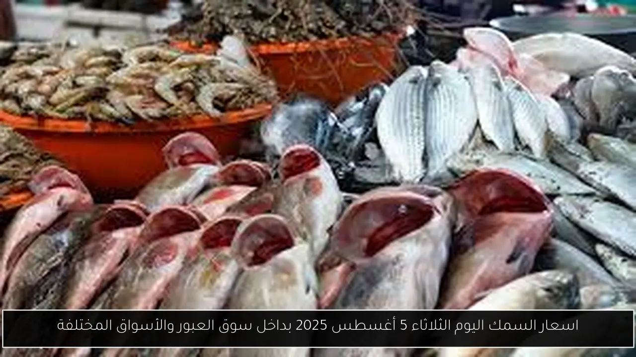 اسعار السمك اليوم الثلاثاء 5 أغسطس 2025 بداخل سوق العبور والأسواق المختلفة