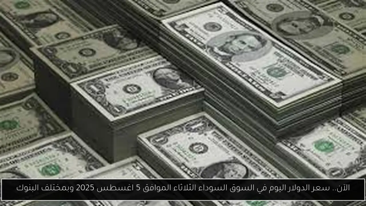 الآن.. سعر الدولار اليوم في السوق السوداء الثلاثاء الموافق 5 اغسطس 2025 وبمختلف البنوك
