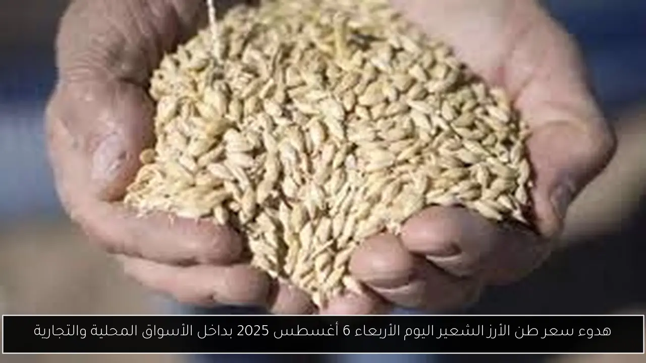 استقرار سعر طن الأرز الشعير اليوم الأربعاء 6 أغسطس 2025 بالمضارب والأسواق المحلية والتجارية