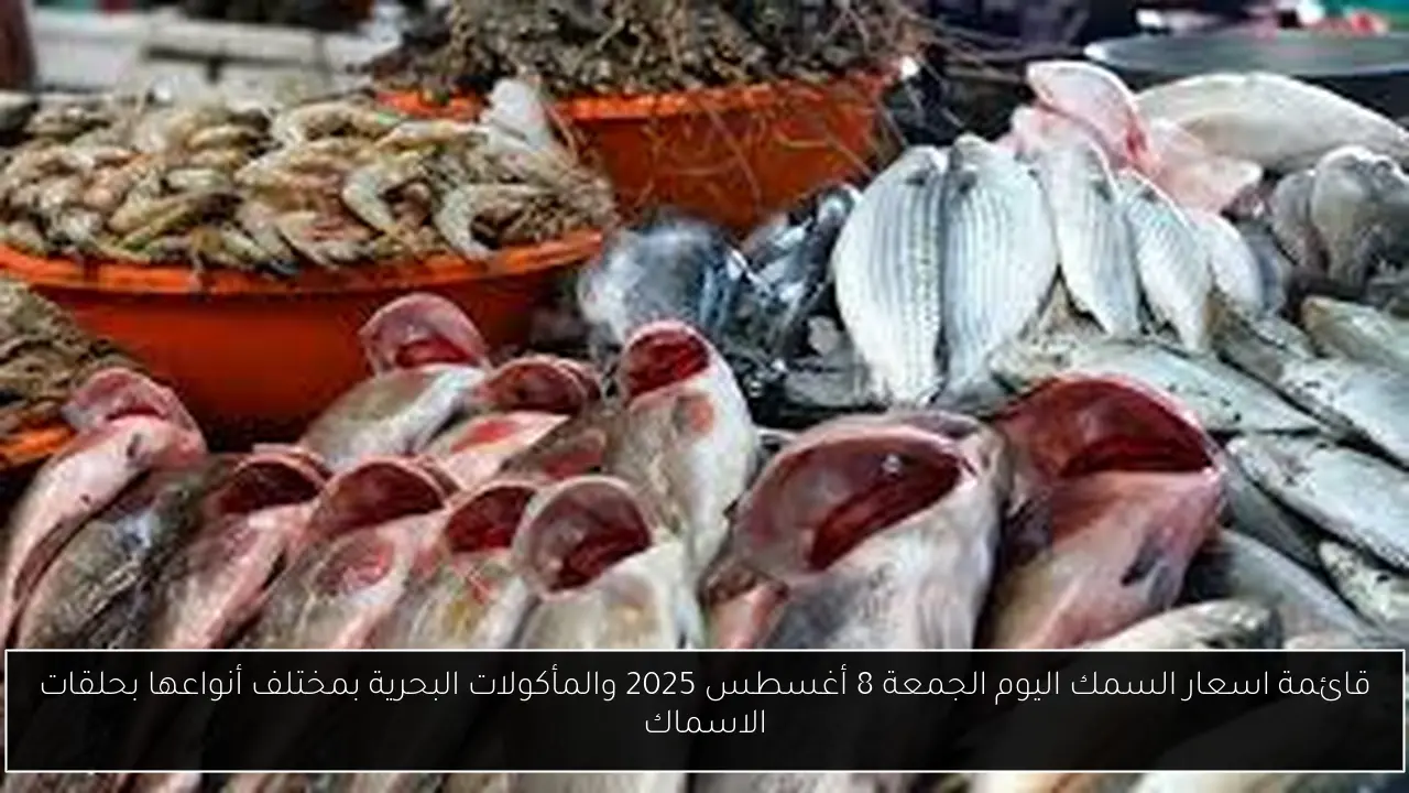 قائمة اسعار السمك اليوم الجمعة 8 أغسطس 2025 والمأكولات البحرية بمختلف أنواعها بحلقات الاسماك