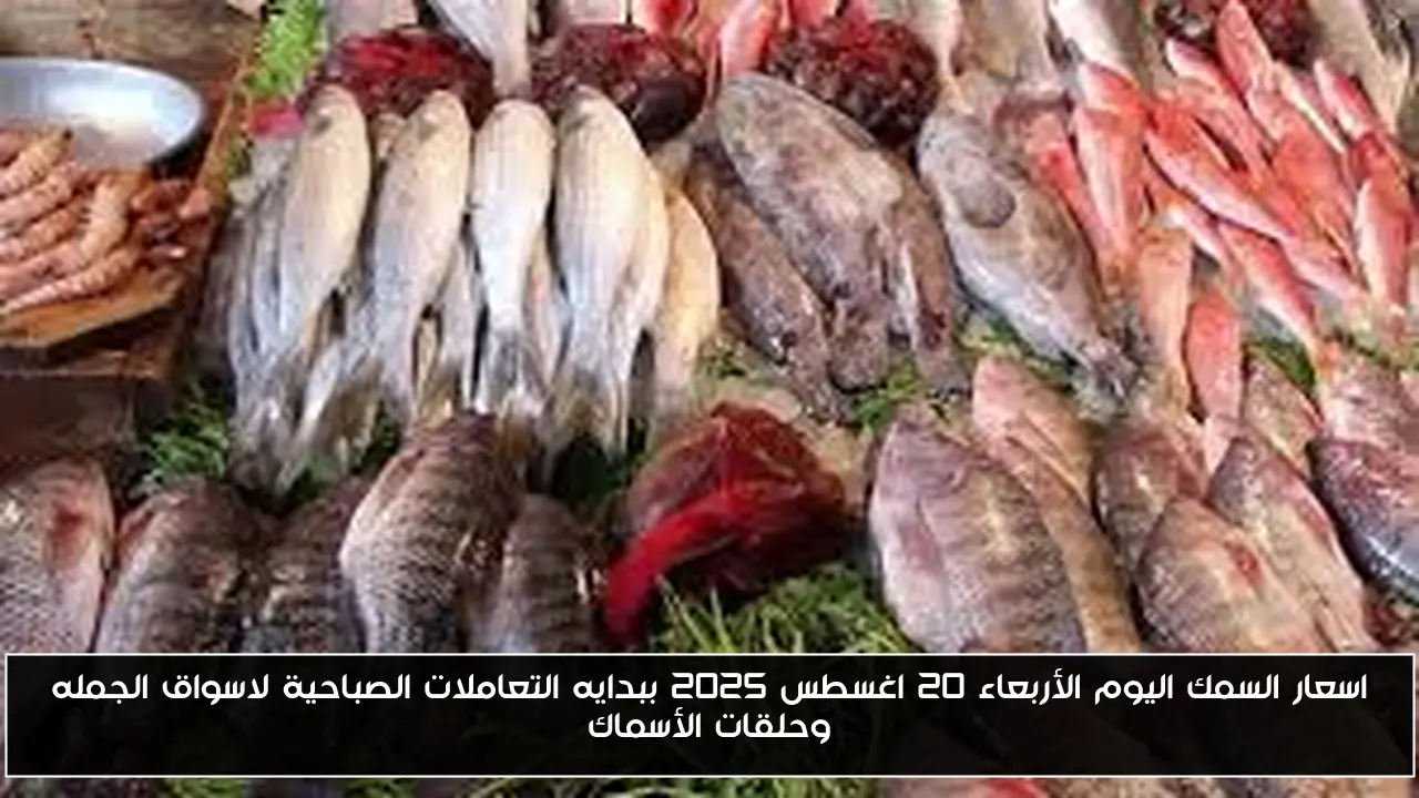 اسعار السمك اليوم الأربعاء 20 اغسطس 2025 ببدايه التعاملات الصباحية لاسواق الجمله وحلقات الأسماك