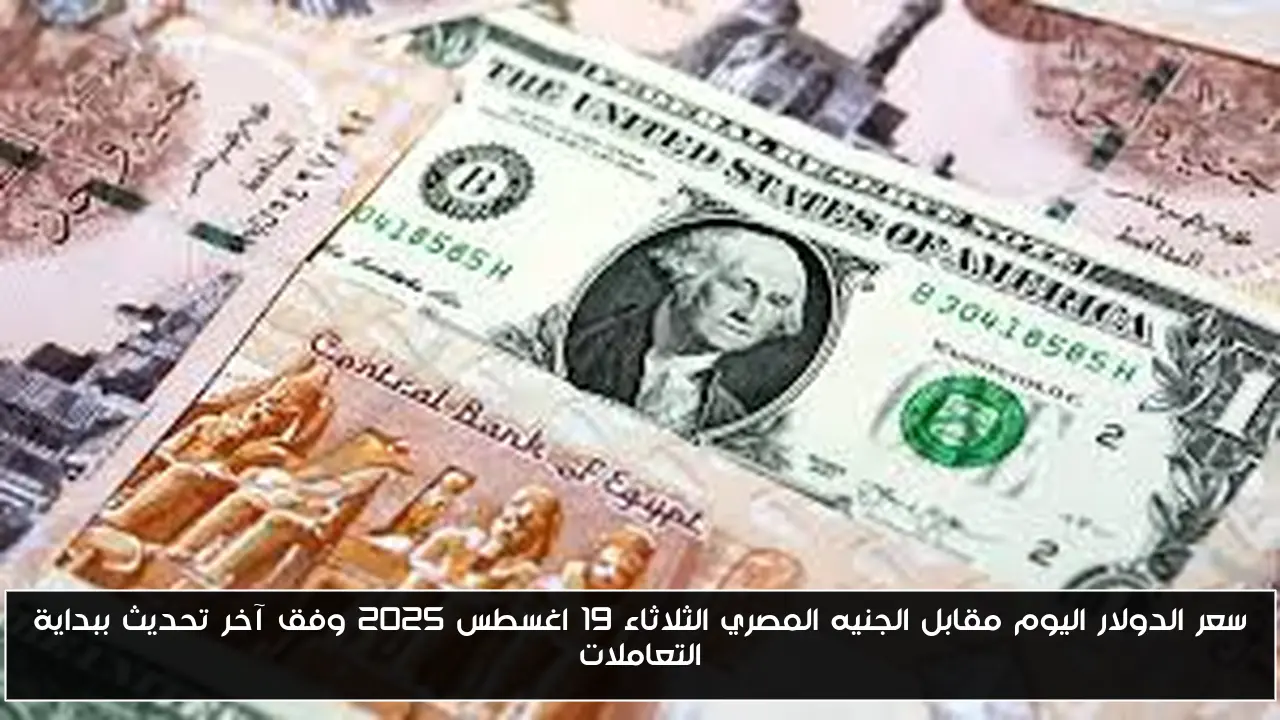سعر الدولار اليوم مقابل الجنيه المصري الثلاثاء 19 اغسطس 2025 وفق آخر تحديث ببداية التعاملات