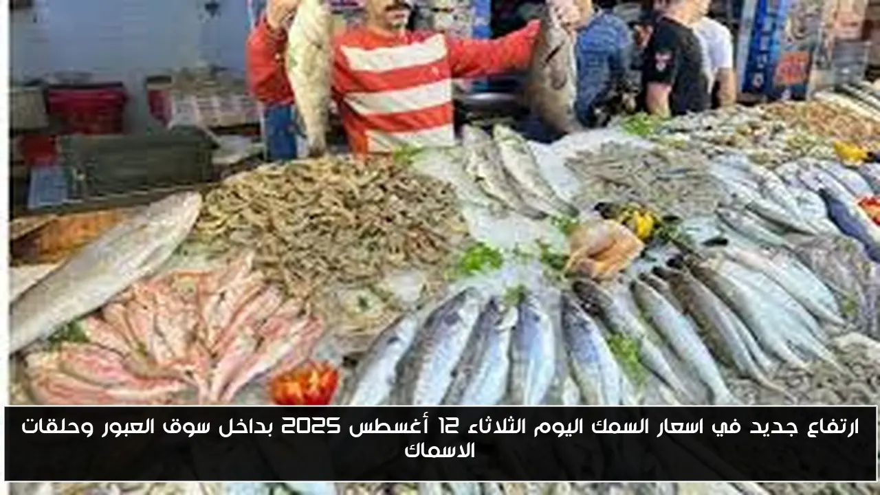 ارتفاع جديد في اسعار السمك اليوم الثلاثاء 12 أغسطس 2025 بداخل سوق العبور وحلقات الاسماك