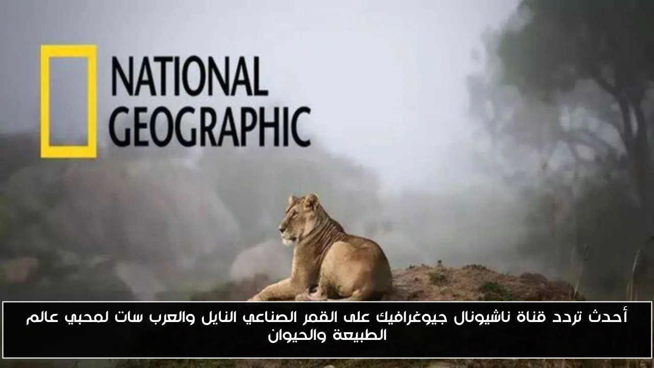 أحدث تردد قناة ناشيونال جيوغرافيك على القمر الصناعي النايل والعرب سات لمحبي عالم الطبيعة والحيوان