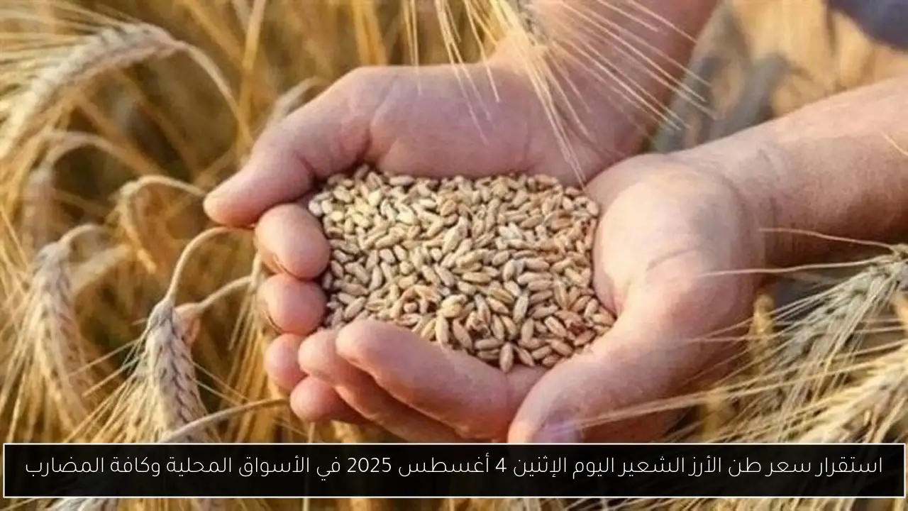 استقرار سعر طن الأرز الشعير اليوم الإثنين 4 أغسطس 2025 في الأسواق المحلية وكافة المضارب