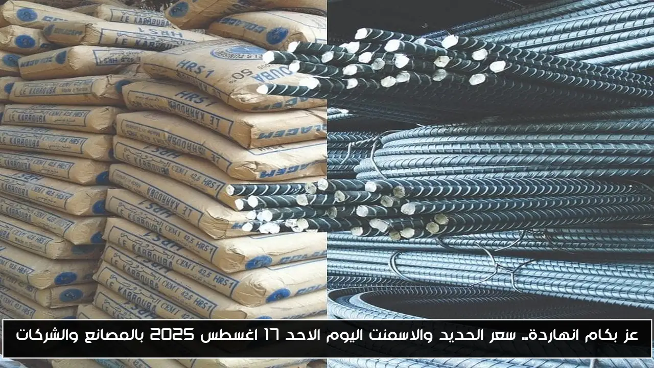 عز بكام انهاردة.. سعر الحديد والاسمنت اليوم الاحد 17 اغسطس 2025 بالمصانع والشركات