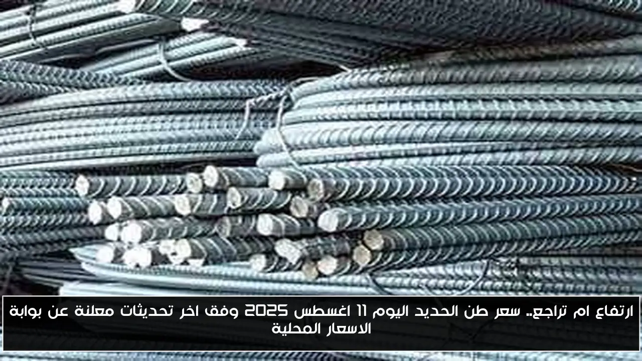 ارتفاع ام تراجع.. سعر طن الحديد اليوم 11 اغسطس 2025 وفق اخر تحديثات معلنة عن بوابة الاسعار المحلية