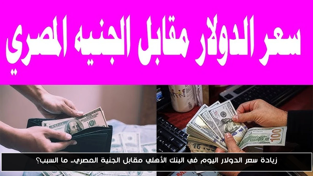 زيادة سعر الدولار اليوم في البنك الأهلي مقابل الجنية المصري.. ما السبب؟