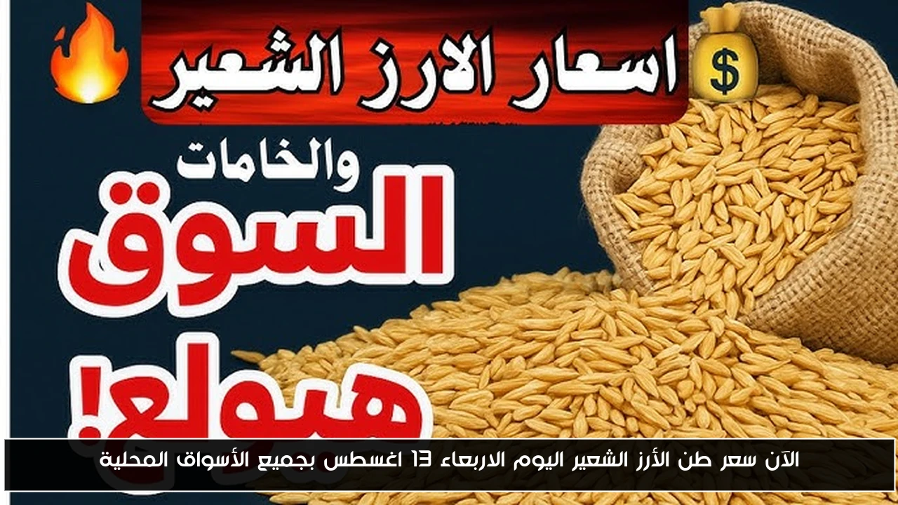 الآن سعر طن الأرز الشعير اليوم الاربعاء 13 اغسطس بجميع الأسواق المحلية