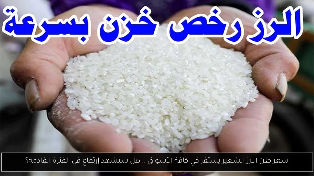 سعر طن الارز الشعير يستقر في كافة الأسواق .. هل سيشهد إرتفاع في الفترة القادمة؟