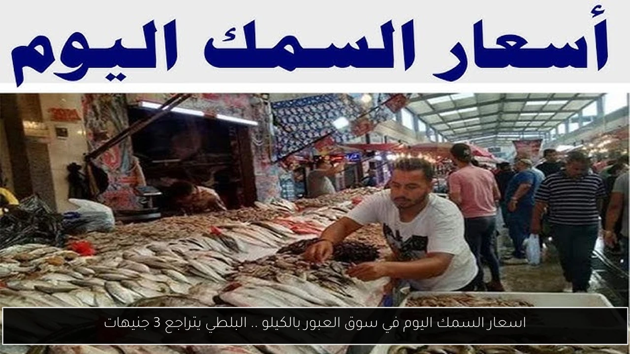 اسعار السمك اليوم في سوق العبور بالكيلو .. البلطي يتراجع 3 جنيهات