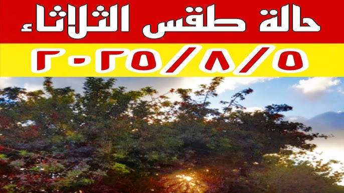 أمطار في أغسطس ! .. الأرصاد تتوقع حالة الطقس اليوم الثلاثاء 5-8-2025 في مصر