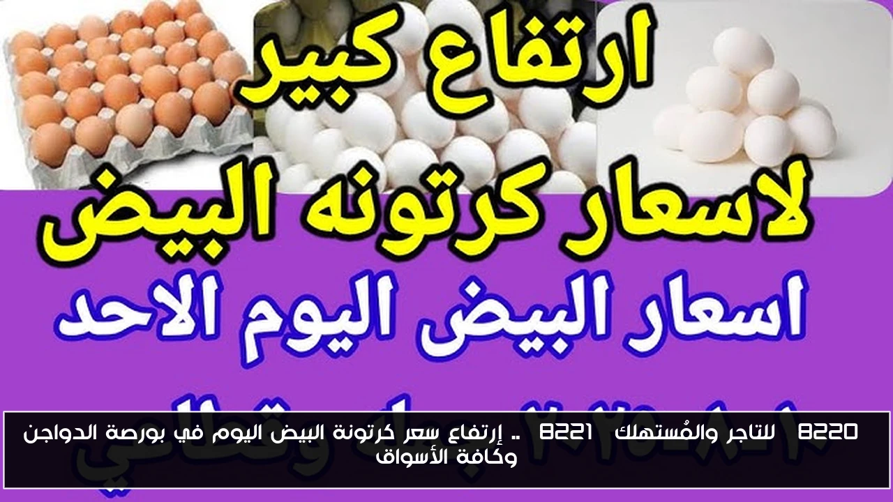 “للتاجر والمُستهلك” .. إرتفاع سعر كرتونة البيض اليوم في بورصة الدواجن وكافة الأسواق