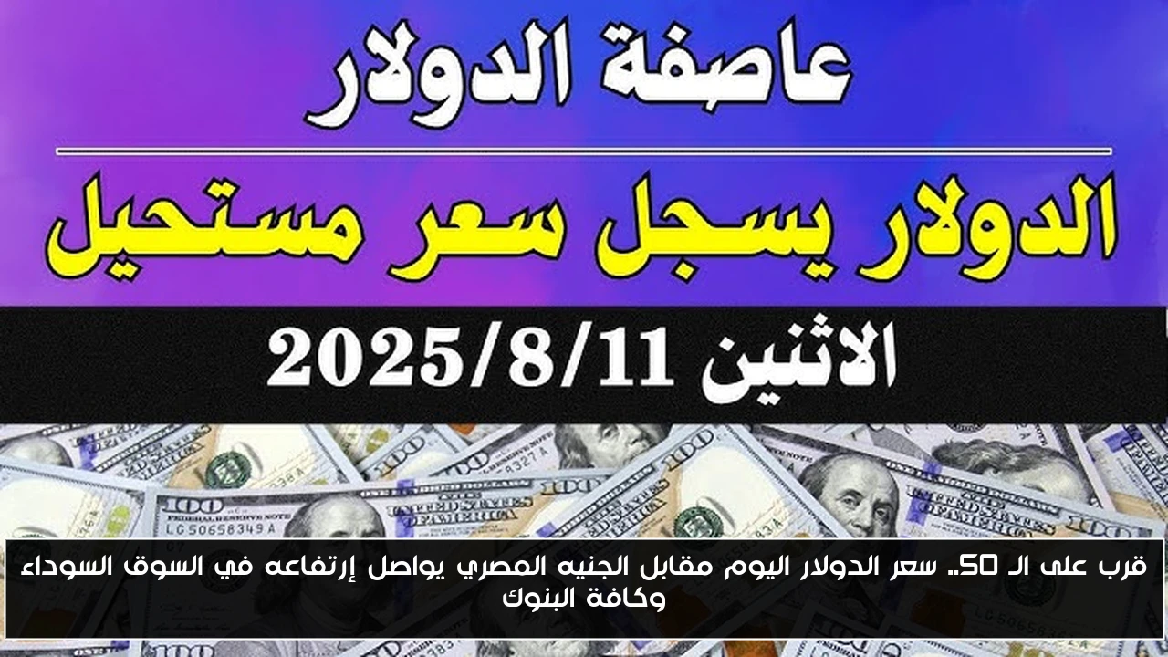 قرب على الـ 50.. سعر الدولار اليوم مقابل الجنيه المصري يواصل إرتفاعه في السوق السوداء وكافة البنوك