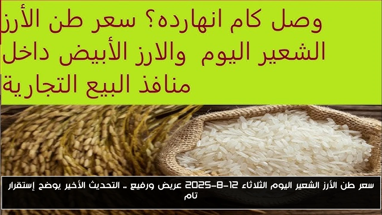 سعر طن الأرز الشعير اليوم الثلاثاء 12-8-2025 عريض ورفيع .. التحديث الأخير يوضح إستقرار تام