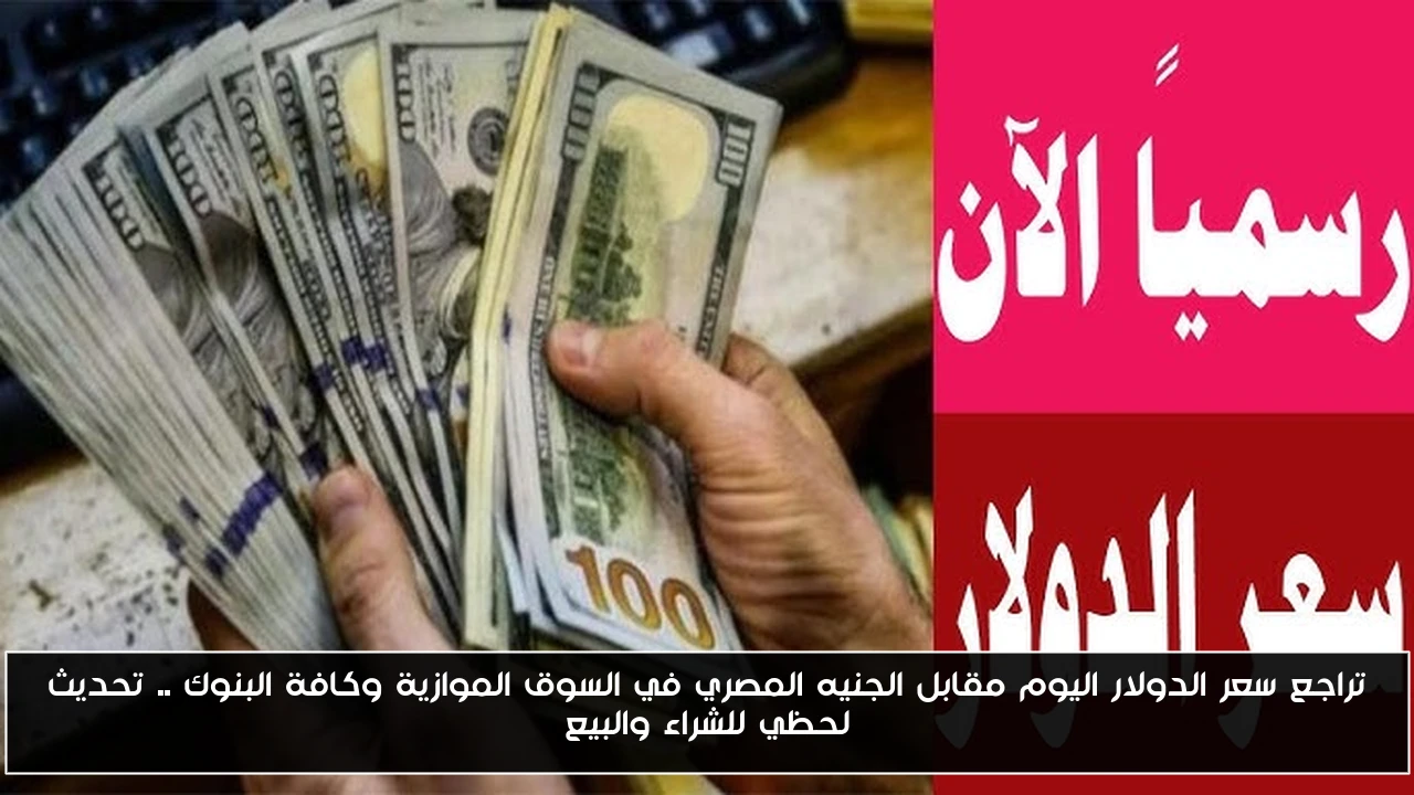 تراجع سعر الدولار اليوم مقابل الجنيه المصري في السوق الموازية وكافة البنوك .. تحديث لحظي للشراء والبيع