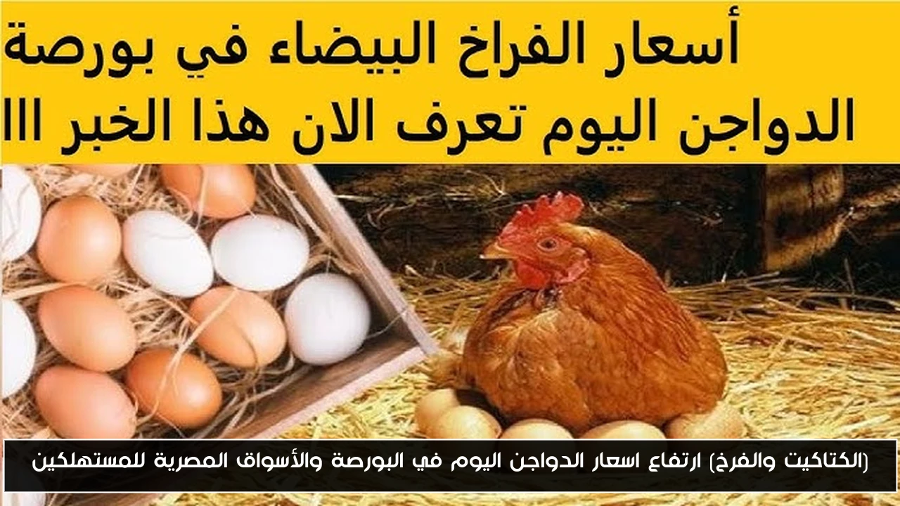 (الكتاكيت والفرخ) ارتفاع اسعار الدواجن اليوم في البورصة والأسواق المصرية للمستهلكين