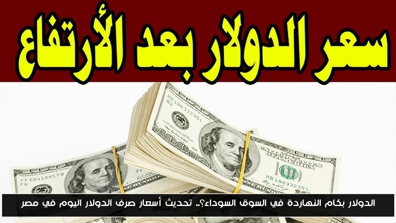 الدولار بكام النهاردة في السوق السوداء؟.. تحديث أسعار صرف الدولار اليوم في مصر