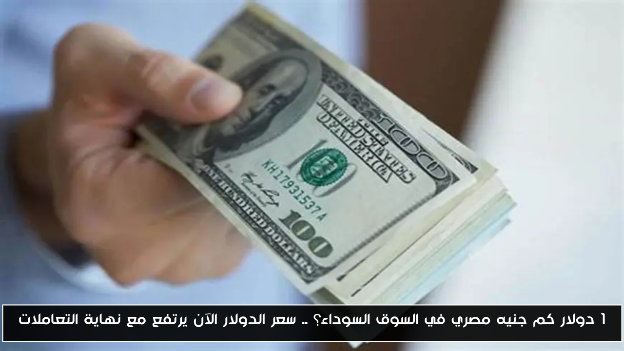 1 دولار كم جنيه مصري في السوق السوداء؟ .. سعر الدولار الآن يرتفع مع نهاية التعاملات