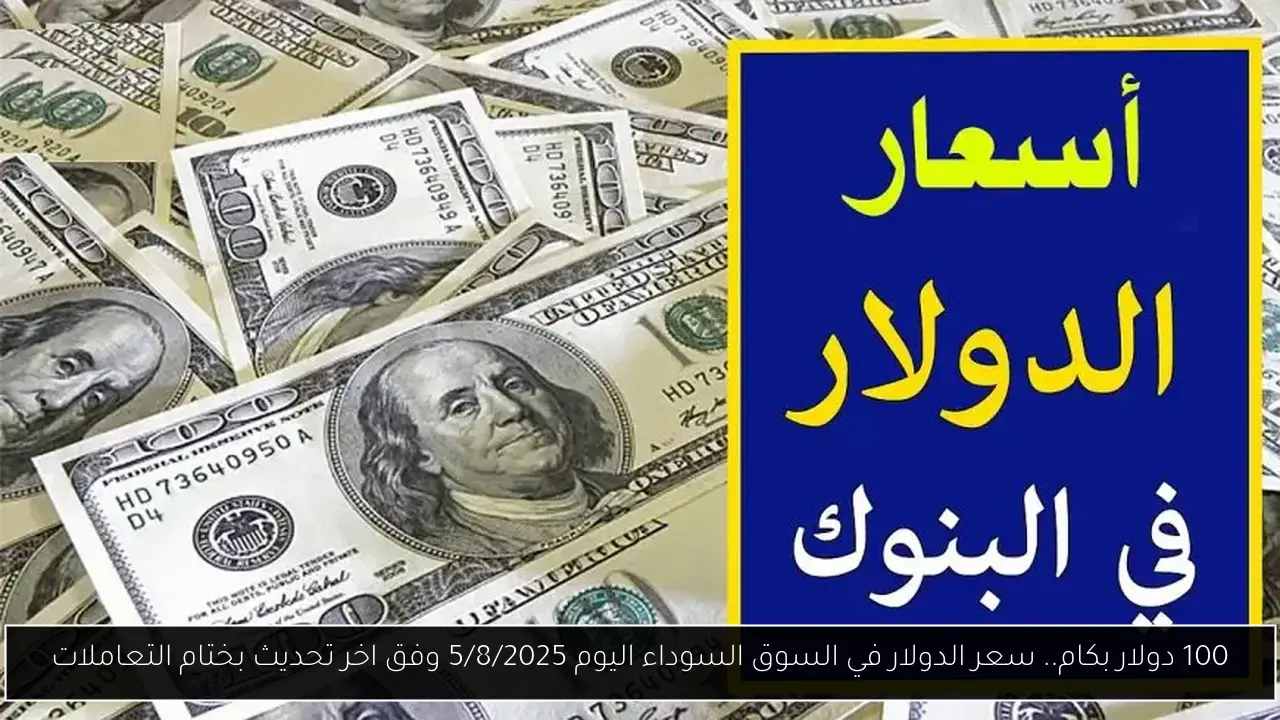 100 دولار بكام.. سعر الدولار في السوق السوداء اليوم 5/8/2025 وفق اخر تحديث بختام التعاملات