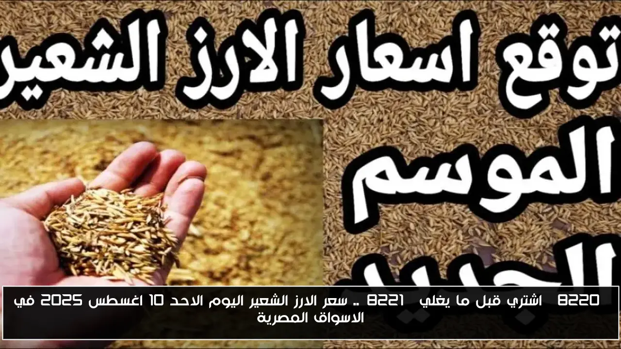 “اشتري قبل ما يغلي”.. سعر الارز الشعير اليوم الاحد 10 اغسطس 2025 في الاسواق المصرية